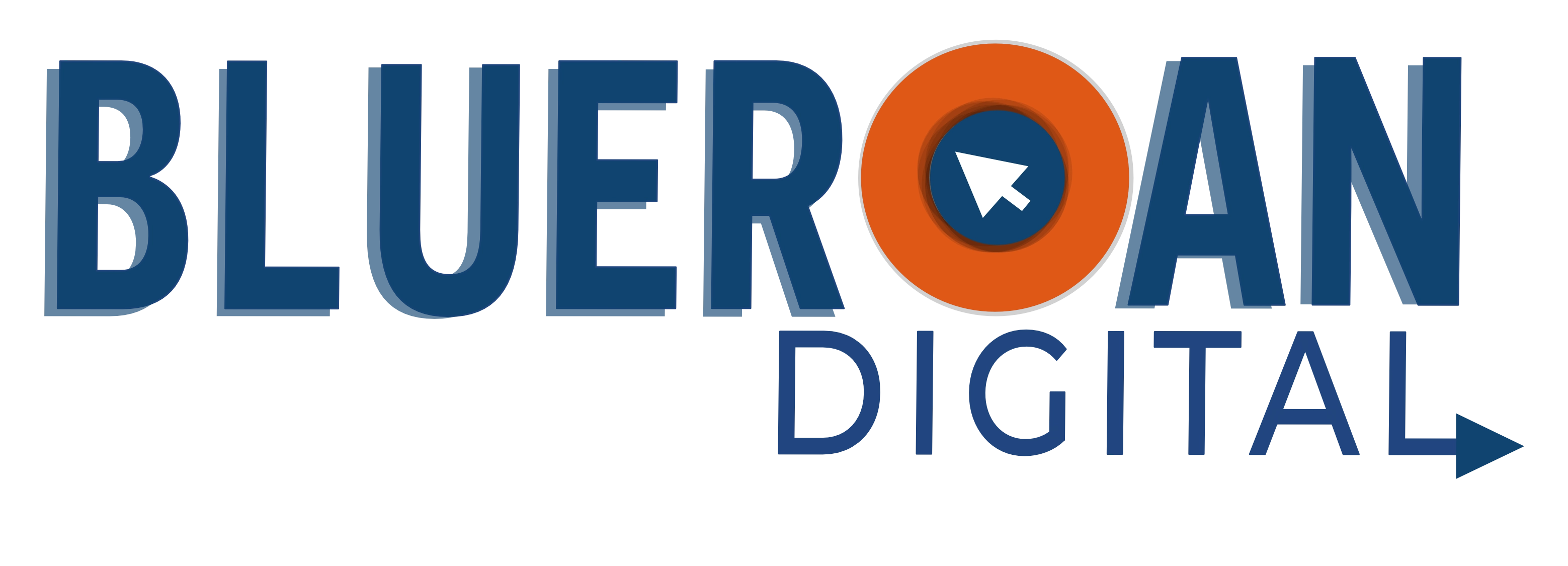 Donor: Blueroan Digital Logo